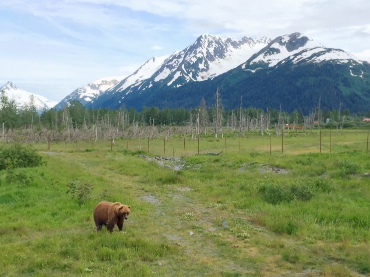 Processed with VSCO with f2 preset