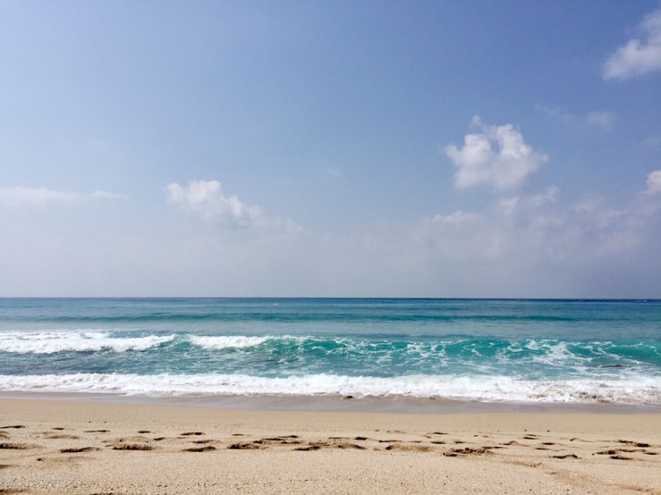 6bde3b26-b831-4ef9-be18-f9884674caee