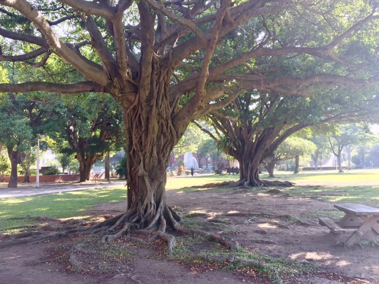 b54fceb8-cf15-41b3-860f-d148019449f8